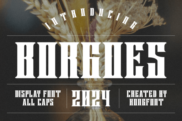 Borgoes Typeface: A Vintage-Modern Display Font for Branding